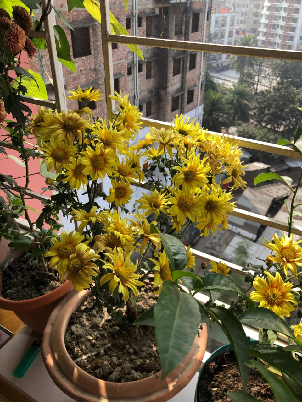 WhatsApp Image 2025-10-20 at 15.58.34_5d3e3a15