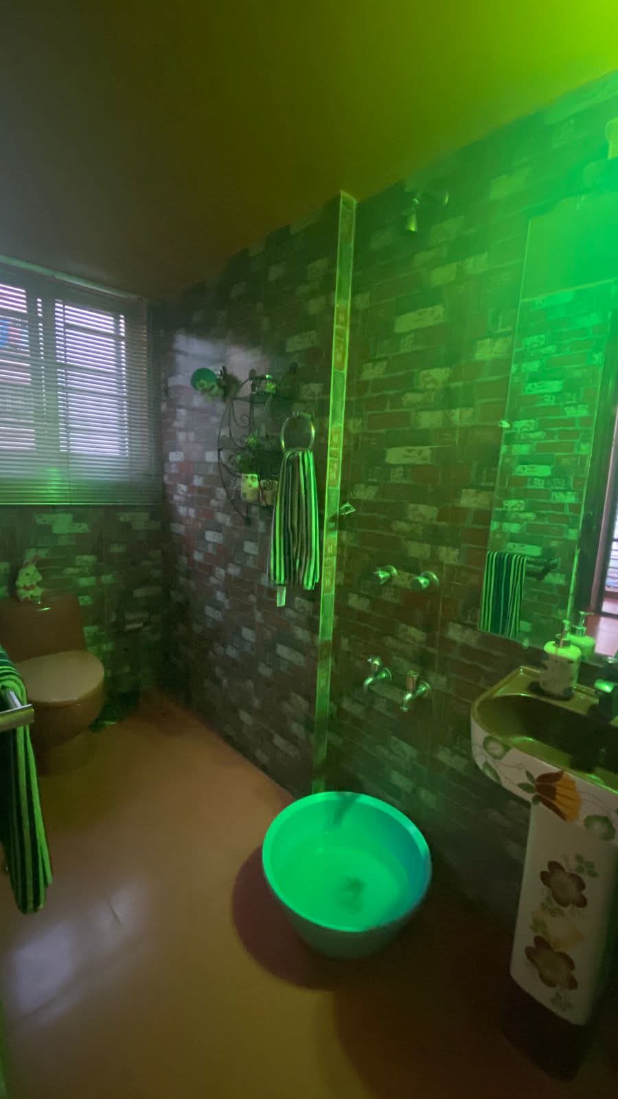 FB_IMG_1764496028353