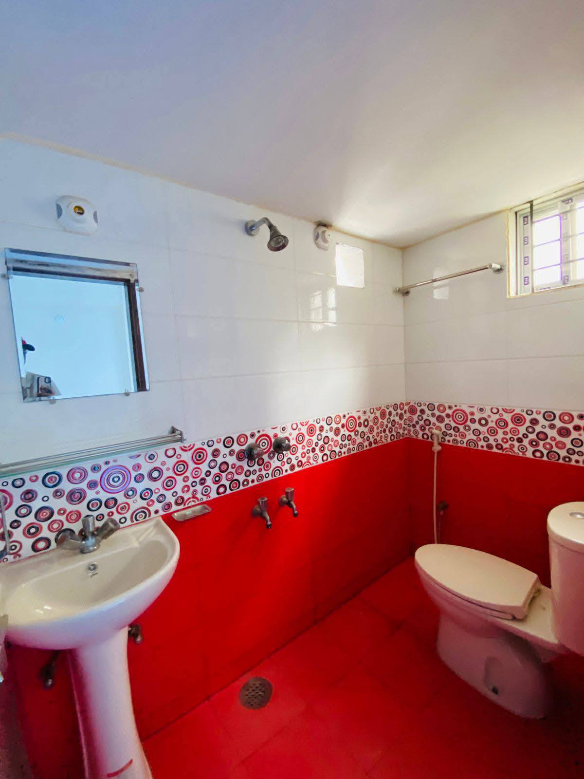 592317104_122286499556224156_1622427571505969316_n