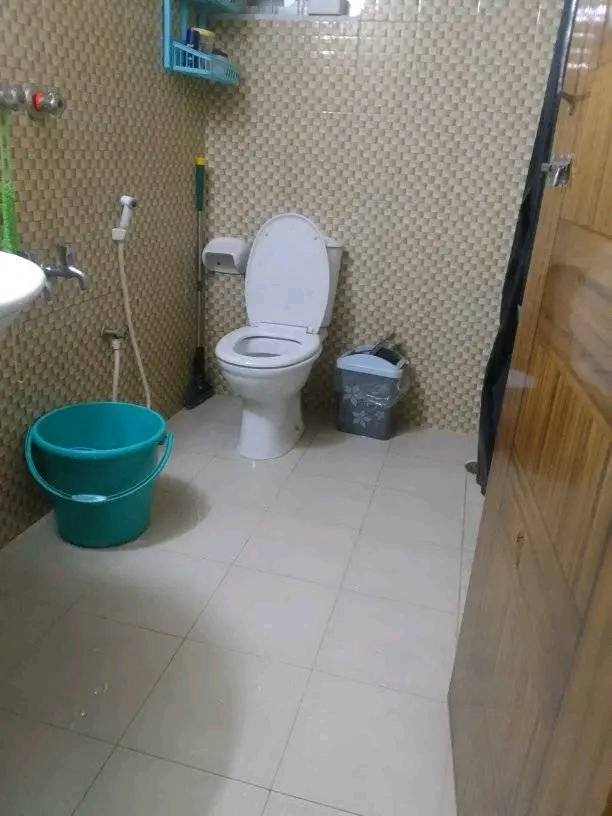 596523341_122288004146224156_3391663452395558479_n